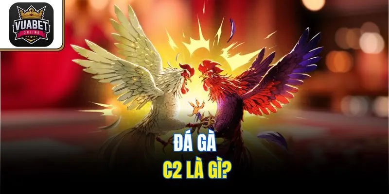 Đá gà C2 là gì?