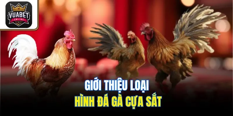 Giới thiệu đá gà cựa sắt