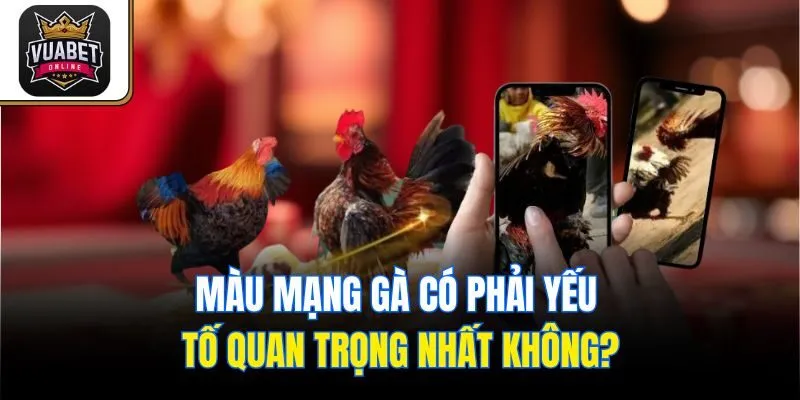 Màu mạng gà có phải yếu tố quan trọng nhất không?