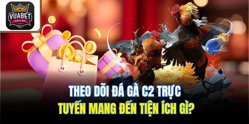 Theo dõi đá gà C2 trực tuyến mang đến tiện ích gì?