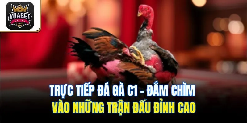 Trực tiếp đá gà C1 có những hình thức thi đấu nào?