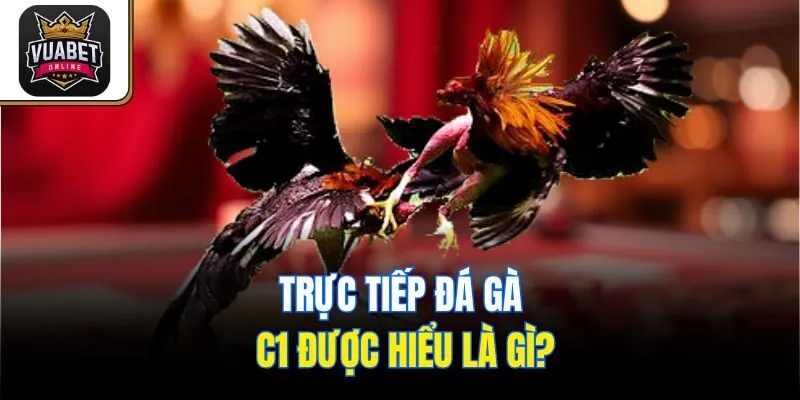 Trực tiếp đá gà C1 được hiểu là gì?