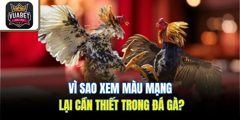 Vì sao xem màu mạng lại cần thiết trong đá gà?