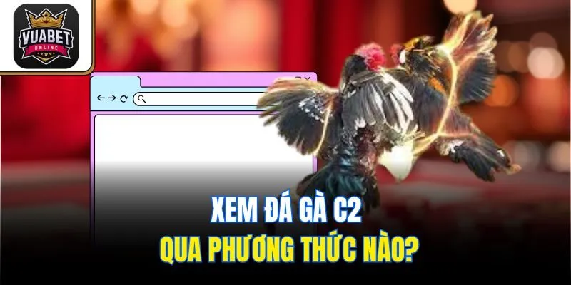 Xem đá gà C2 qua phương thức nào?